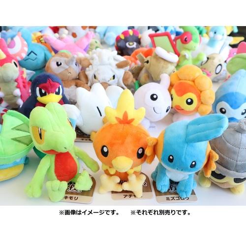Pokémon fit Torchic Plush / Knuffel